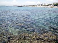 Морская рыбалка в Алании, Анталийское побережье: июнь, ловил понемногу