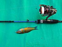 Кемер отпускной отчёт спиннинг и джиг у свала: ловил сумбурно как умел