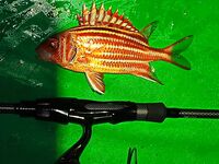 Кемер отпускной отчёт спиннинг и джиг у свала: ловил сумбурно как умел