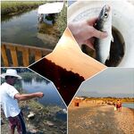 Морская рыбалка на Анталийском побережье: отметка для отчёта и фото