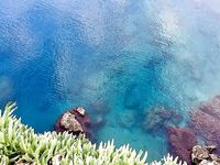 Анталийское побережье бомбарда и длинная подача — доброс до бровки