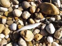 Сиде, Анталийское побережье первый выезд — ошибки, но рыба поймана