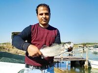 Сиде, Анталийское побережье первый выезд — ошибки, но рыба поймана