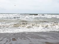 Анталийское побережье плетёнка и флюр — какая связка живёт дольше