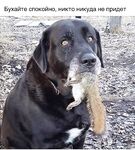 Анталия вечерний выход рыбы — когда ставить бомбарду и поводок