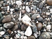 Анталия ранний берег две поклёвки и тишина возвращусь послезавтра