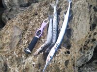 Анталия спиннинг и сравнения с Израилем наблюдения по результатам