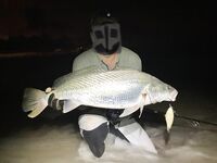 Анталия, тревел-палки и нагрузки: бланк хрустит на 5+, фурнитура так себе