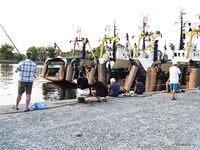 Ялта и Созополь: порты осенью - кефаль, ставрида, сарган и хищник