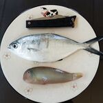 Чамьюва, песчаный пляж: отводной 50 см, куриная кожа - что за вид?