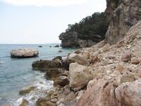 Анталия, живописная точка: барракуда бывает, клёв лучший до рассвета