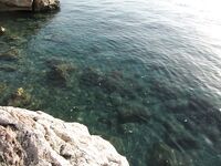 Анталия, живописная точка: барракуда бывает, клёв лучший до рассвета