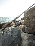 Белек: 110 воблер, бой у буя - шоклидер 50 lb перетёрся