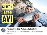 Анталия: Caranx crysos - золотистый каранкс, латынь без фанатизма