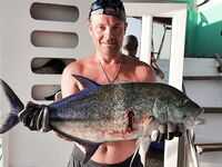 Алания - сравнение береговой ловли: пилькеры, каранксы и сарган