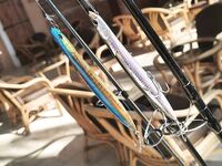 Алания - сравнение береговой ловли: пилькеры, каранксы и сарган