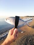 Морская рыбалка в Кемере: ультралайт с пирсов и капризный маракью