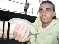 Анталия, Анталийское побережье: ночные вылазки к пирсу и 13VIB30