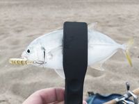 Морская рыбалка в Манавгате и Сиде, грозовые окна и тральчики