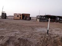 Порт Шамса-Алам, выходы в море и охрана - рыбалка с адреналином