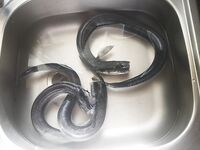 Анталья: барра редка, а шпица дерут, сарган 24 г с полводы на 4-7 м