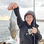 Кемер, причал: сарды и мелочь подтянулись, хищник где-то рядом