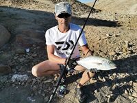 Морская рыбалка в Анталье: короткий троллинг - макрель и золотой каранкс