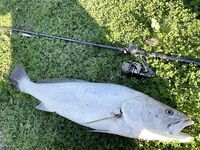 Анталия офшор без корма: рыба подходит эпизодами, рассчитывать рано