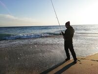 Анталия локация с луфарём: подвох-грек, топовые воблеры и «рыба есть»