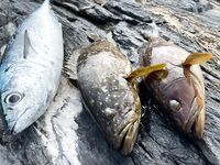 Анталия берег и скалы: фото с последних рыбалок, трудовой клёв без трофеев
