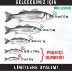 Морская рыбалка на скалах Анталии: проверяем прогноз, фото и выходы