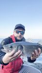 Сиде: ловля леврек у берега, спиннинг и рассветные проводки, воблеры, пилькеры