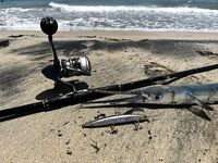 Аланья - ловля море у берега, спиннинг и рассветные проводки, воблеры, пилькеры