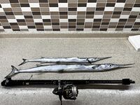 Аланья - ловля море у берега, спиннинг и рассветные проводки, воблеры, пилькеры