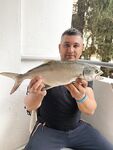 Порт Ичмелер, Мармарис: бонито на живца, кефаль, капризы сибасса