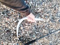 Коньяалты, береговая ловля на бомбарду - короткое утро и мимо