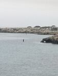 Сентябрь-октябрь сказка: каменные наплывы ушли под воду, но клев остался