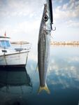 Евренсеки, впадение реки: рассветный разгон и кайф на минноу и пилькеры