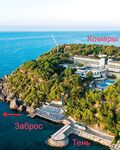 Авсаллар, Utopia Family: сарган сорвался, кальмар и всесильный сокар
