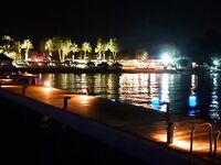 Не рыбой единой: показываю кадры с места нашей ловли у берега
