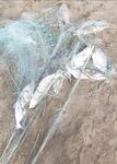 Богазкент, Анталийское побережье: сети, кастингисты и надежда на апрель