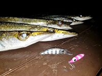 Средиземка: барракуды есть, трофеи редки, по мелочи веселее