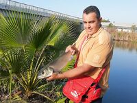 Анталья, рассветный спин: полкило потолок, но турок вынимал хороших