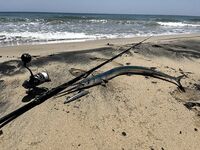 Анталья: «Буратино» 130 NOD - нормальный турецкий размер