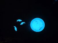 Анталья, микрушка ночью: флюр тоньше 0,24 и отводной по мормышу