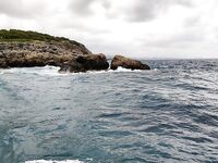 Анталья, sea fishing: глубины 25-30 м, фугу и окуни, ставка на ставриду