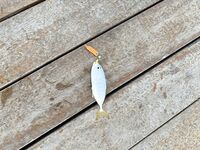 Финал отпуска, семьдесят хвостов и пятнадцать видов, один БОНУС