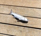 Финал отпуска, семьдесят хвостов и пятнадцать видов, один БОНУС