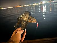 Морская рыбалка в Бельдиби и Гёйнюке: ультралайт клюёт бодренько