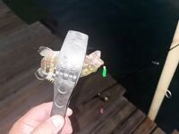 Морская рыбалка в Бельдиби и Гёйнюке: ультралайт клюёт бодренько